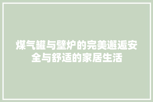 煤气罐与壁炉的完美邂逅安全与舒适的家居生活 家居维修
