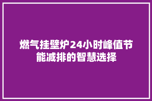 燃气挂壁炉24小时峰值节能减排的智慧选择 热水器