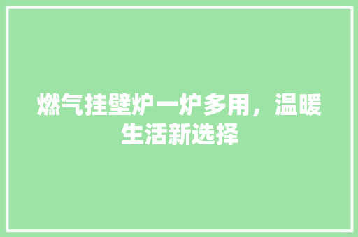 燃气挂壁炉一炉多用，温暖生活新选择 冰箱