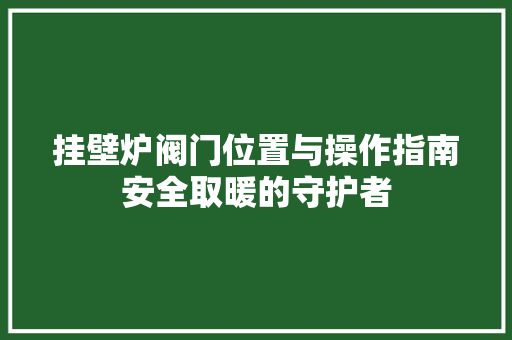 挂壁炉阀门位置与操作指南安全取暖的守护者 家电维护