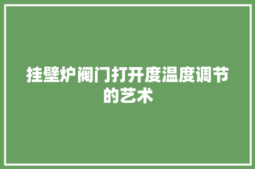 挂壁炉阀门打开度温度调节的艺术 洁具维修