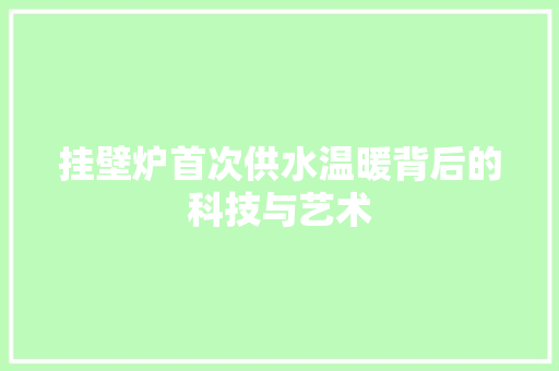 挂壁炉首次供水温暖背后的科技与艺术 洗衣机