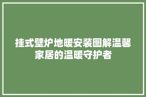挂式壁炉地暖安装图解温馨家居的温暖守护者 家电维护