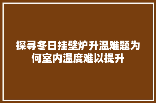 探寻冬日挂壁炉升温难题为何室内温度难以提升 家电维护