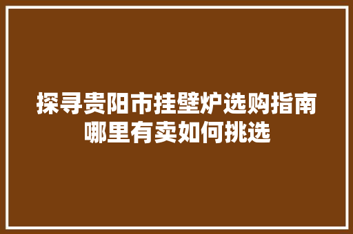 探寻贵阳市挂壁炉选购指南哪里有卖如何挑选 贴膜