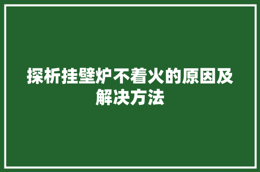 探析挂壁炉不着火的原因及解决方法 洗衣机