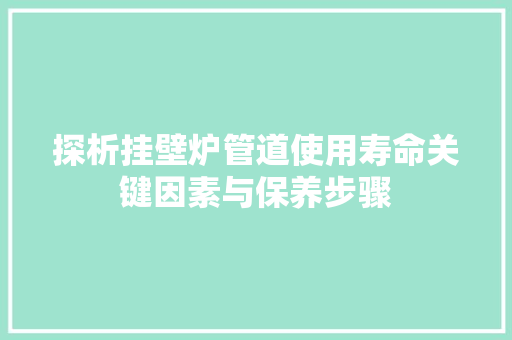 探析挂壁炉管道使用寿命关键因素与保养步骤 洁具维修