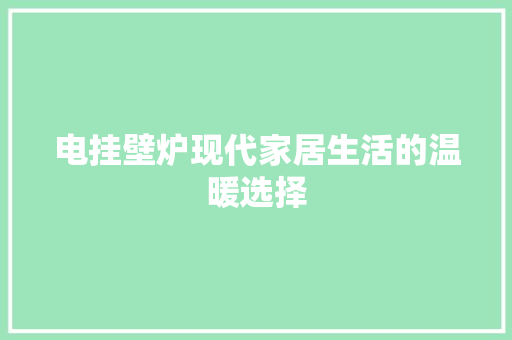 电挂壁炉现代家居生活的温暖选择 家电维护
