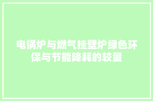 电锅炉与燃气挂壁炉绿色环保与节能降耗的较量 洗衣机