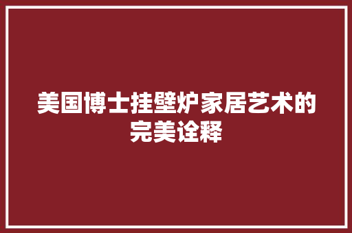 美国博士挂壁炉家居艺术的完美诠释 家电维护
