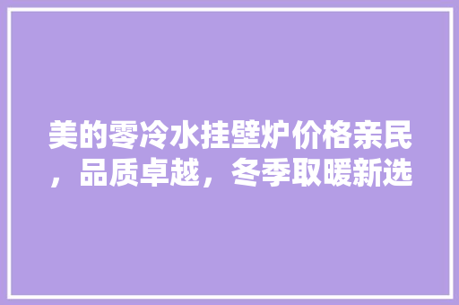 美的零冷水挂壁炉价格亲民，品质卓越，冬季取暖新选择 灯具安装