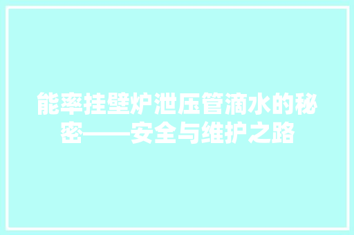 能率挂壁炉泄压管滴水的秘密——安全与维护之路 清洁保养