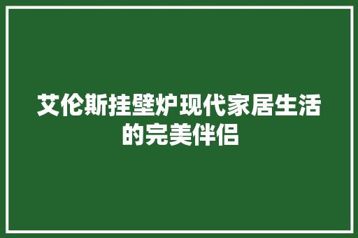 艾伦斯挂壁炉现代家居生活的完美伴侣 局部翻新