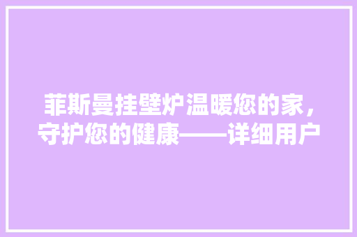 菲斯曼挂壁炉温暖您的家，守护您的健康——详细用户手册 旧房改造