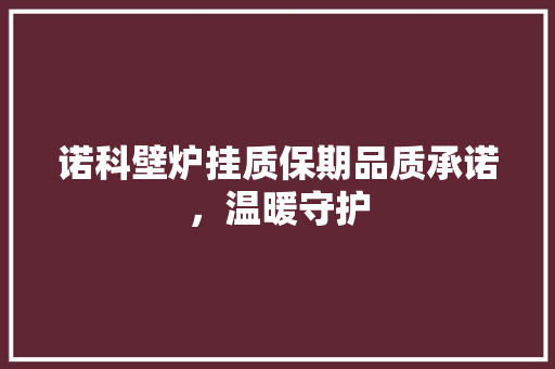 诺科壁炉挂质保期品质承诺，温暖守护 清洁保养