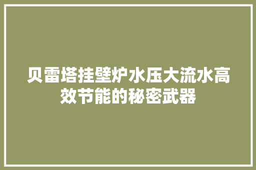 贝雷塔挂壁炉水压大流水高效节能的秘密武器 家居维修