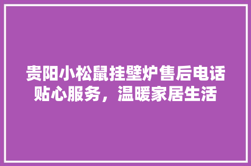 贵阳小松鼠挂壁炉售后电话贴心服务，温暖家居生活 灯具安装