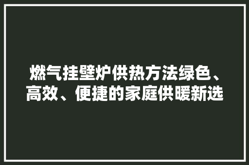 燃气挂壁炉供热方法绿色、高效、便捷的家庭供暖新选择 空调