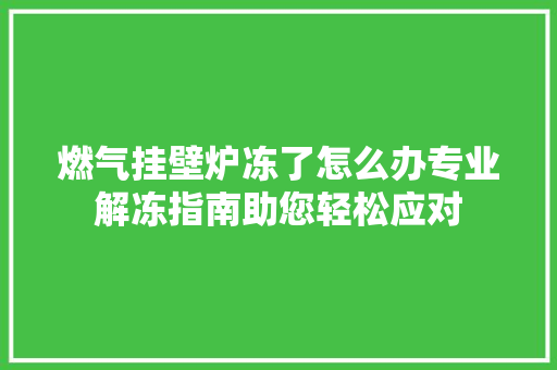 燃气挂壁炉冻了怎么办专业解冻指南助您轻松应对 洁具维修