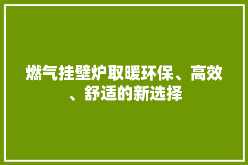 燃气挂壁炉取暖环保、高效、舒适的新选择 洁具维修