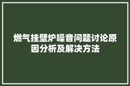 燃气挂壁炉噪音问题讨论原因分析及解决方法 热水器