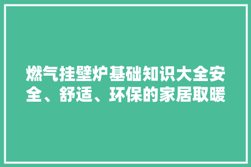 燃气挂壁炉基础知识大全安全、舒适、环保的家居取暖新选择 洁具维修