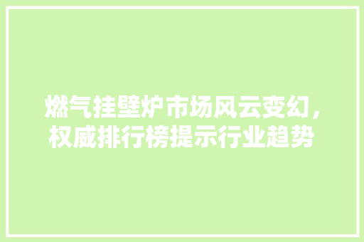 燃气挂壁炉市场风云变幻，权威排行榜提示行业趋势 空调