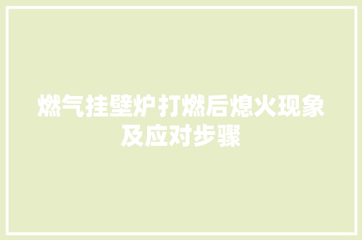 燃气挂壁炉打燃后熄火现象及应对步骤 水电维修