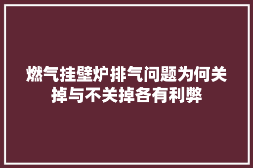 燃气挂壁炉排气问题为何关掉与不关掉各有利弊 家具修理
