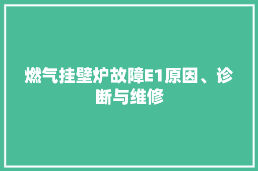 燃气挂壁炉故障E1原因、诊断与维修 家居维修