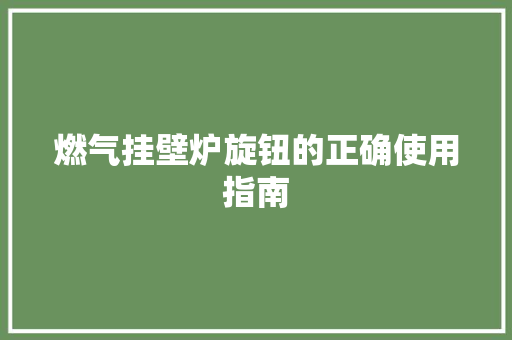 燃气挂壁炉旋钮的正确使用指南 贴膜