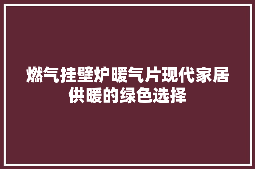 燃气挂壁炉暖气片现代家居供暖的绿色选择 空调