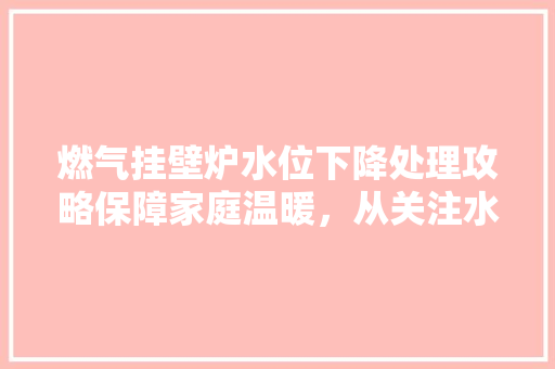 燃气挂壁炉水位下降处理攻略保障家庭温暖，从关注水位开始 龙头管件