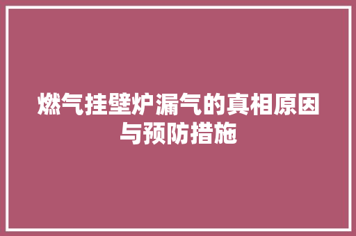 燃气挂壁炉漏气的真相原因与预防措施 清洁保养
