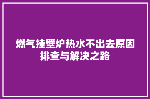燃气挂壁炉热水不出去原因排查与解决之路 空调