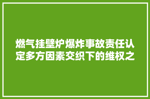 燃气挂壁炉爆炸事故责任认定多方因素交织下的维权之路 翻新改色