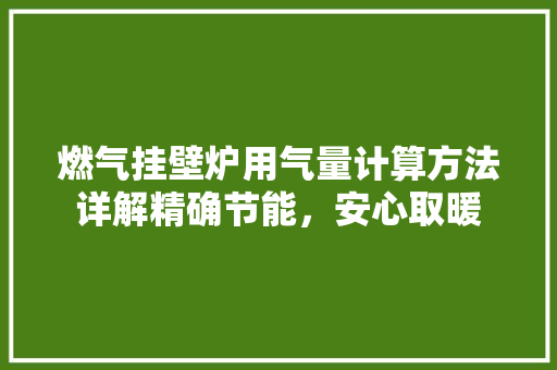 燃气挂壁炉用气量计算方法详解精确节能，安心取暖 热水器