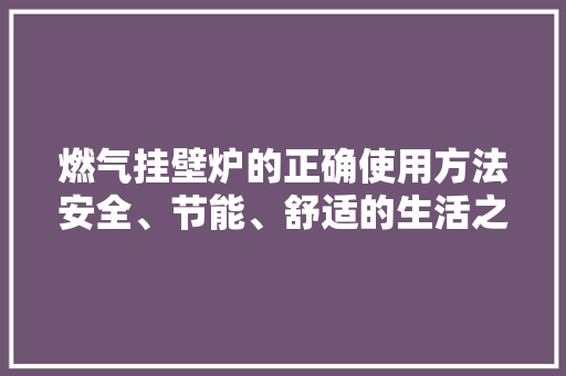 燃气挂壁炉的正确使用方法安全、节能、舒适的生活之路 局部翻新