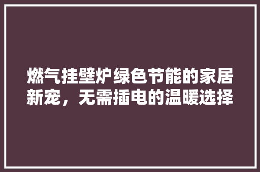 燃气挂壁炉绿色节能的家居新宠，无需插电的温暖选择 灯具安装