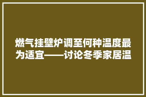 燃气挂壁炉调至何种温度最为适宜——讨论冬季家居温暖与节能之路 水电维修
