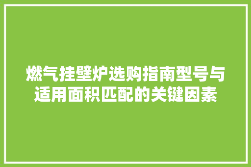 燃气挂壁炉选购指南型号与适用面积匹配的关键因素 局部翻新
