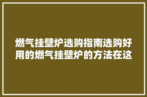 燃气挂壁炉选购指南选购好用的燃气挂壁炉的方法在这里！ 热水器
