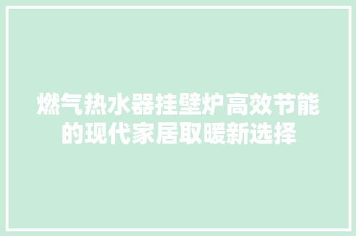 燃气热水器挂壁炉高效节能的现代家居取暖新选择 家具修理