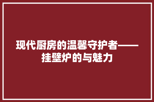 现代厨房的温馨守护者——挂壁炉的与魅力 洗衣机