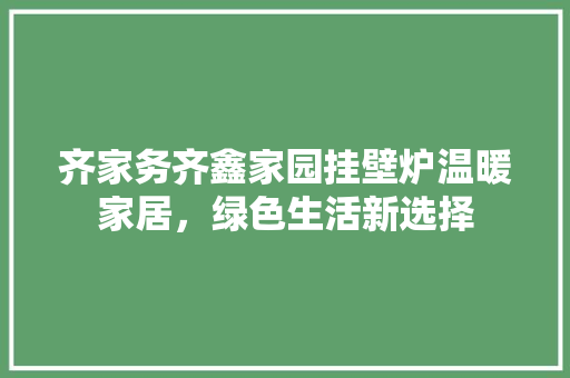 齐家务齐鑫家园挂壁炉温暖家居，绿色生活新选择 空调
