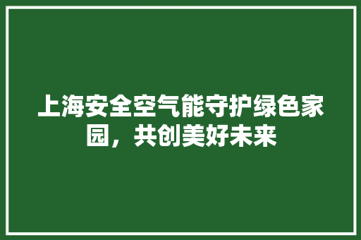 上海安全空气能守护绿色家园，共创美好未来 空调