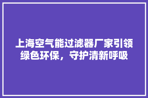 上海空气能过滤器厂家引领绿色环保，守护清新呼吸 龙头管件