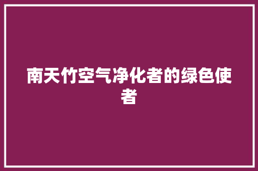 南天竹空气净化者的绿色使者 家具修理