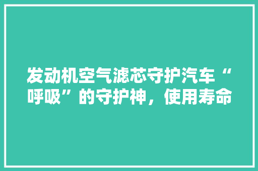 发动机空气滤芯守护汽车“呼吸”的守护神，使用寿命 局部翻新