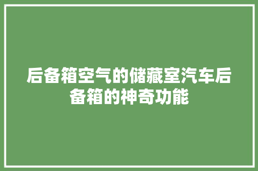 后备箱空气的储藏室汽车后备箱的神奇功能 冰箱